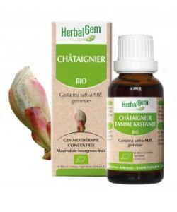 Châtaignier (Castanea vesca) bourgeon BIO, 15 ml